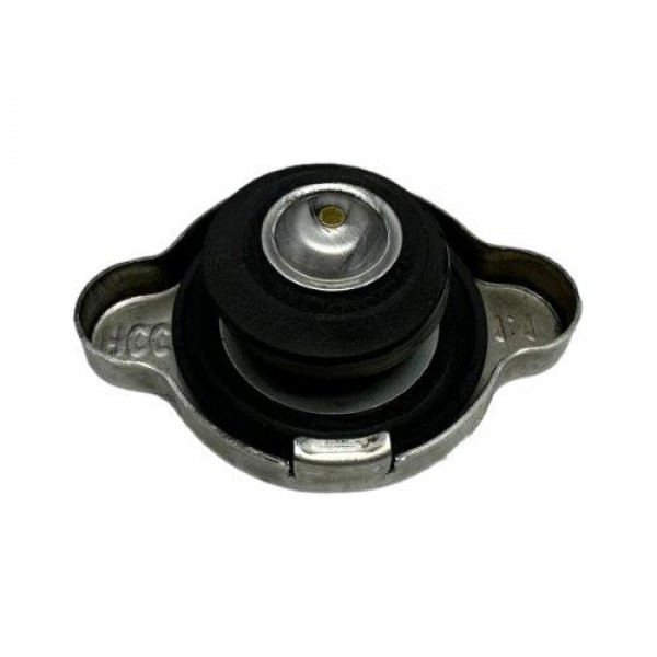 Tampa Radiador Azera 3.0 V6 2014