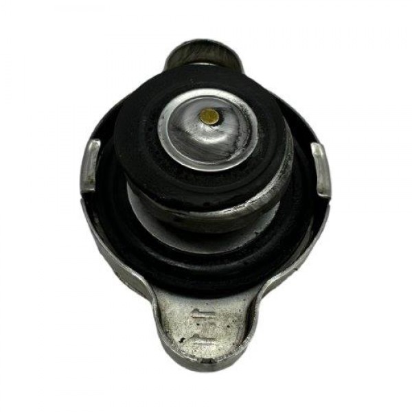 Tampa Radiador Azera 3.0 V6 2014