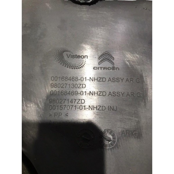 Forro Porta Traseiro Esquerdo Citroen C4 Lounge 1.6 Thp 17