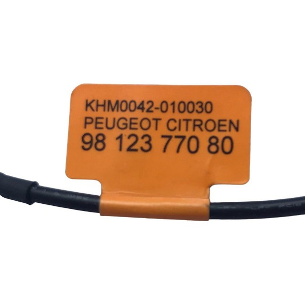 Microfone Teto C4 Lounge 1.6 Thp 2017