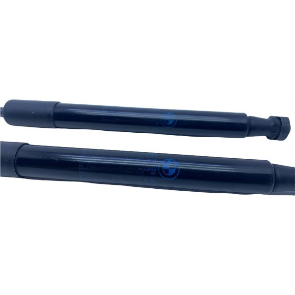 Par Amortecedor Capo Bmw X1 2.0 S-drive 2015