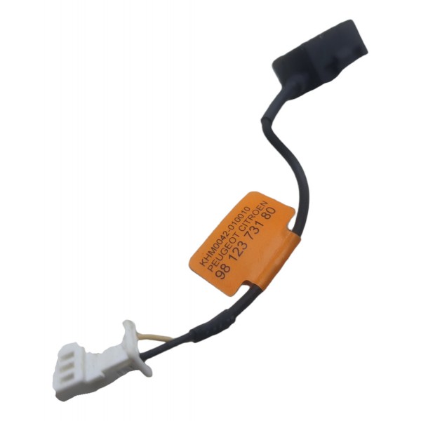 Microfone Teto C3 Aircross 1.6 2016