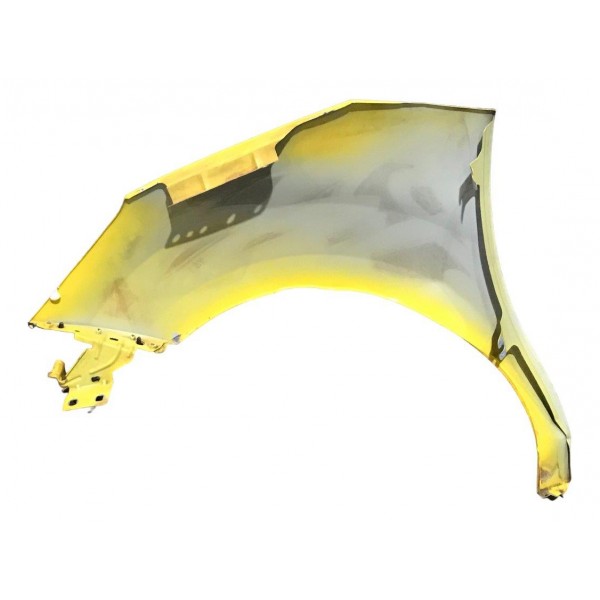 Paralama Dianteiro Direito Citroen Ds3 1.6 Thp 2014 Ler