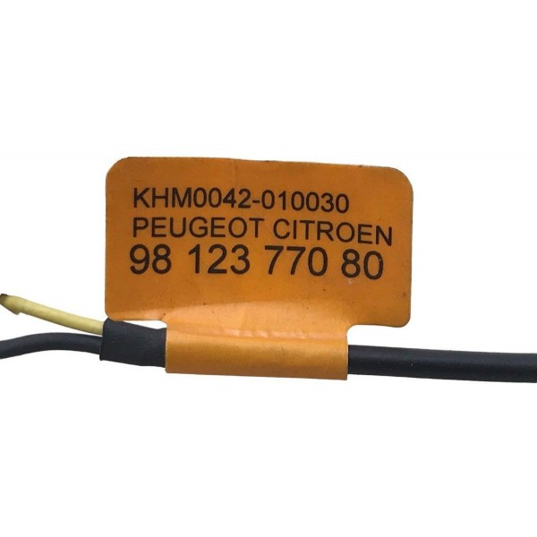 Microfone De Teto Citroen C4 Lounge 1.6 Thp 2018