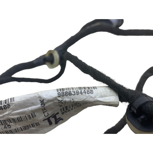 Chicote Porta Traseira Direita C4 Lounge Thp 2018