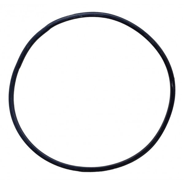 Anel Vedação Porca Bomba Combustivel C4 Cactus 1.6 2022