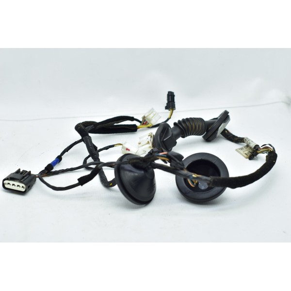 Chicote Porta Traseiro Direito Hyundai Sonata 2.4