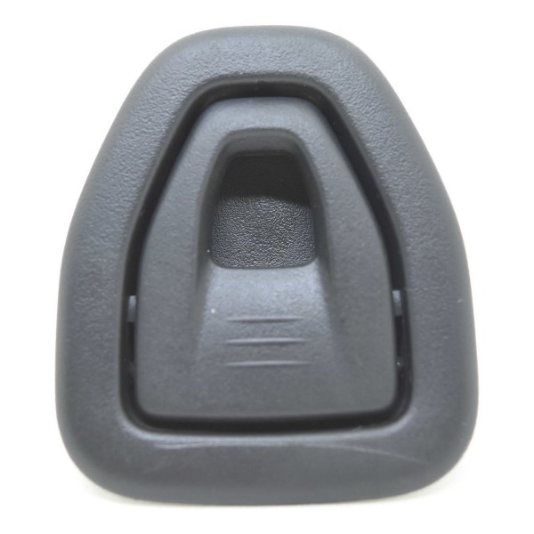 Porta Cabide Traseiro Esquerdo E Direito Ds5 Thp 1.6 13/17