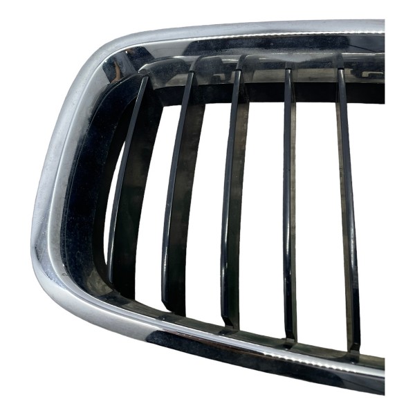 Grade Frontal Comando Parachoque Bmw X1 2.0 2015
