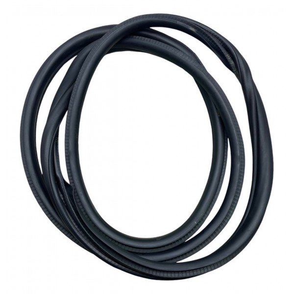 Borracha Porta Traseira Direita Bmw 320i 2.0 Turbo 2015