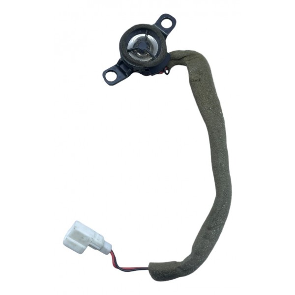 Tweeter Porta Dianteira Direita Hyundai Veloster 1.6 2012