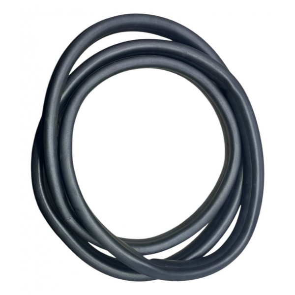 Borracha Porta Traseira Esquerda Renault Sandero 2.0 2019