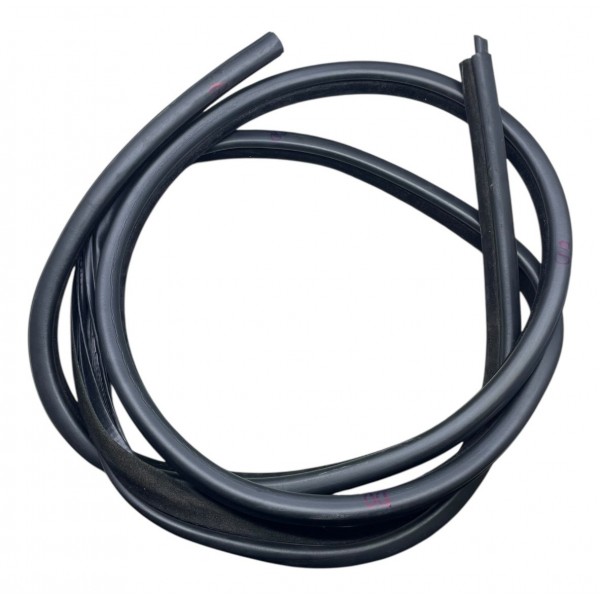 Borracha Porta Traseira Direita Bmw 320i 2.0 E90 N46 2010