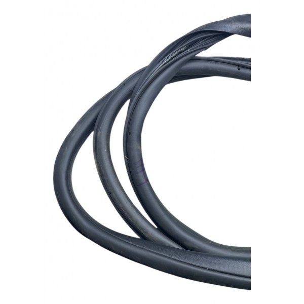 Borracha Porta Traseira Direita Fiat Pulse 1.0 Turbo 2022