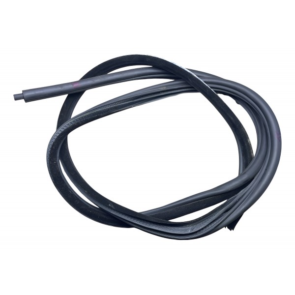 Borracha Teto Solar Bmw 320i 2.0 E90 Aspirada 2007