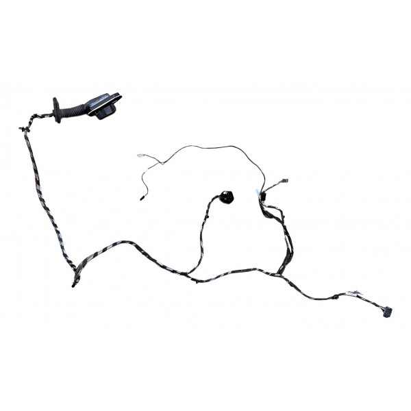 Chicote Porta Traseira Esquerda Bmw X3 3.0 Xdrive35i N55 13