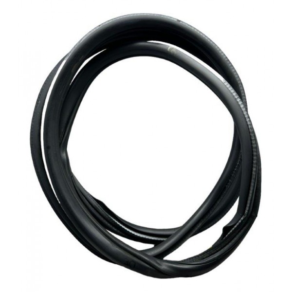 Borracha Porta Traseira Direita Bmw 320i 2.0 2016