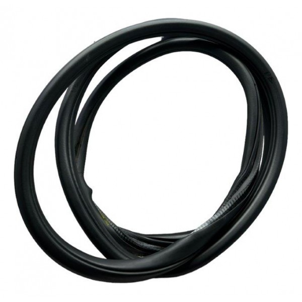 Borracha Porta Traseira Direita Bmw 320i 2.0 2016