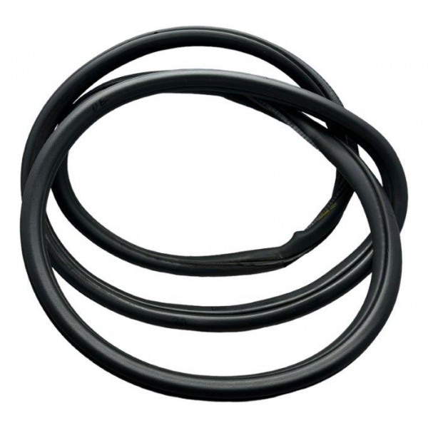 Borracha Porta Traseira Esquerda Bmw 320i 2.0 2016