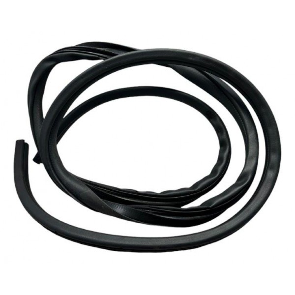 Borracha Porta Traseira Direita Lancer Evolution X 2.0 2011