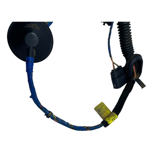 Chicote Porta Traseira Direita Elantra Gls 2.0 2014