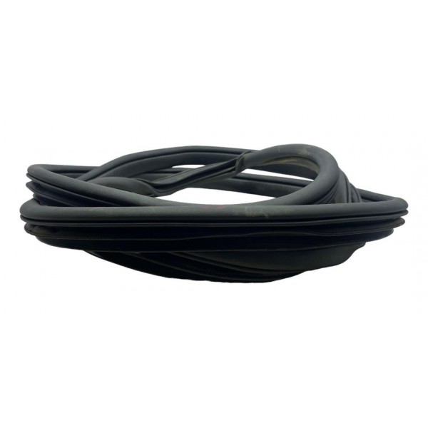 Borracha Porta Traseira Esquerda Hyundai Elantra 2.0 2014